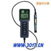 酸度、鹽度、電導(dǎo)、溫度測量儀,型號(hào):YSI-63,品牌:美國YSI